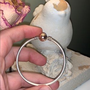 Pandora bracelet